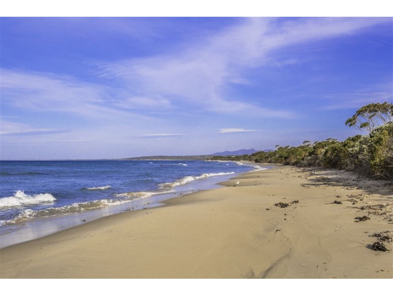 9 Morgan Esplanade, Tomahawk TAS 7262
