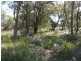 2 Neville Drive, Bridport TAS 7262