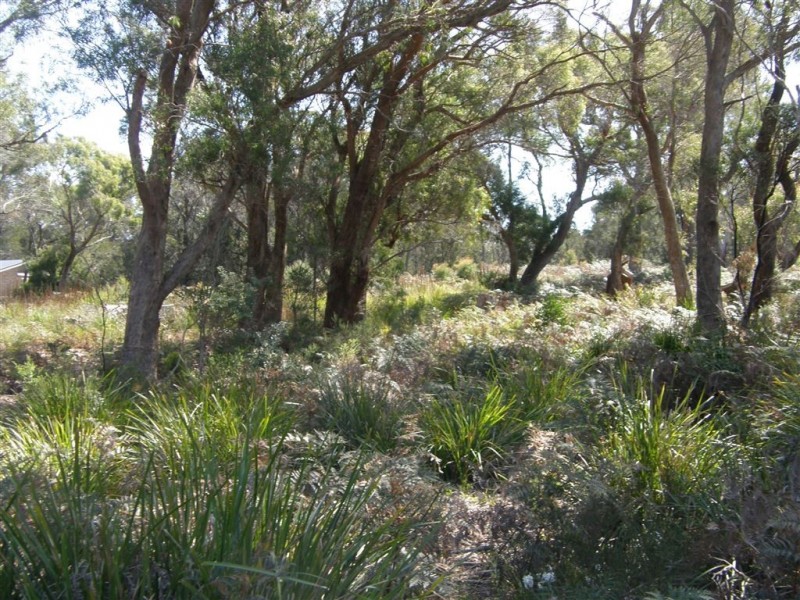 2 Neville Drive, Bridport TAS 7262