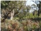 2 Neville Drive, Bridport TAS 7262