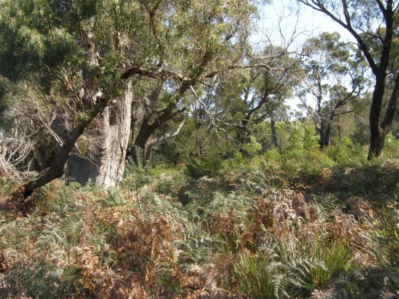 2 Neville Drive, Bridport TAS 7262