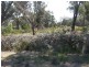 2 Neville Drive, Bridport TAS 7262