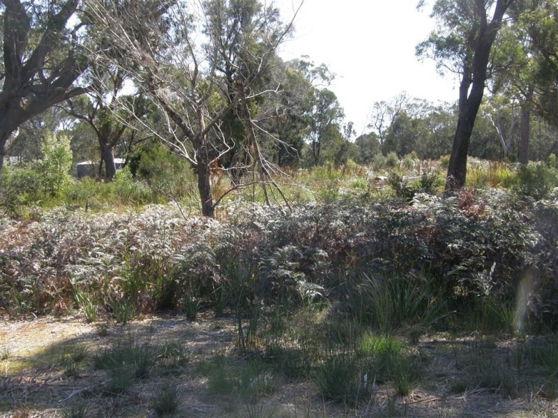 2 Neville Drive, Bridport TAS 7262