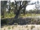 2 Neville Drive, Bridport TAS 7262
