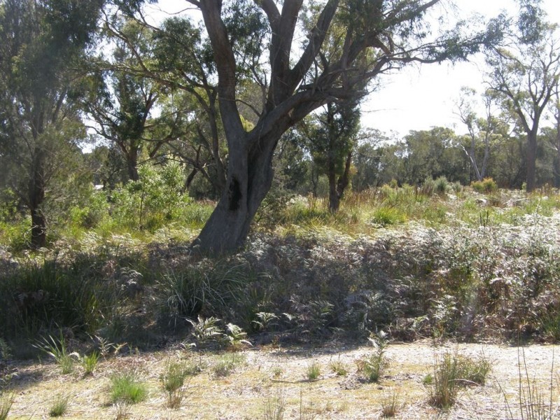 2 Neville Drive, Bridport TAS 7262