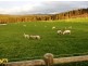 126 Denison Gorge Road, Lebrina TAS 7254