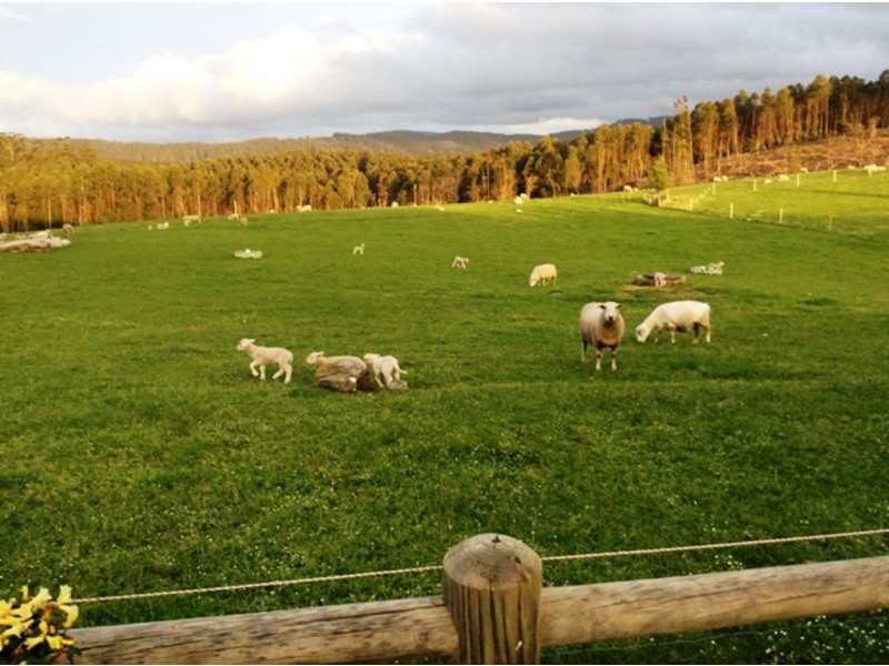 126 Denison Gorge Road, Lebrina TAS 7254