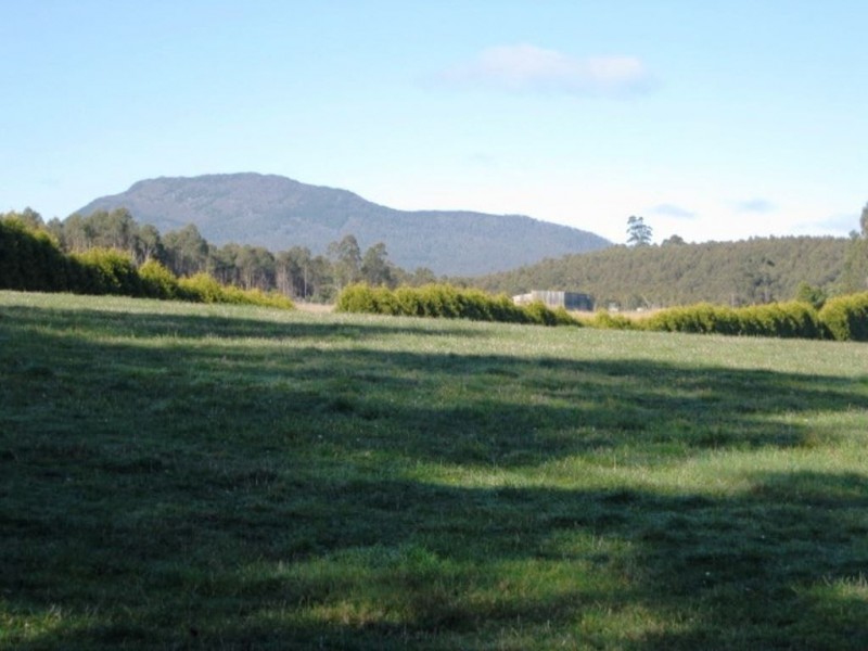 126 Denison Gorge Road, Lebrina TAS 7254