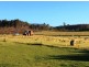126 Denison Gorge Road, Lebrina TAS 7254