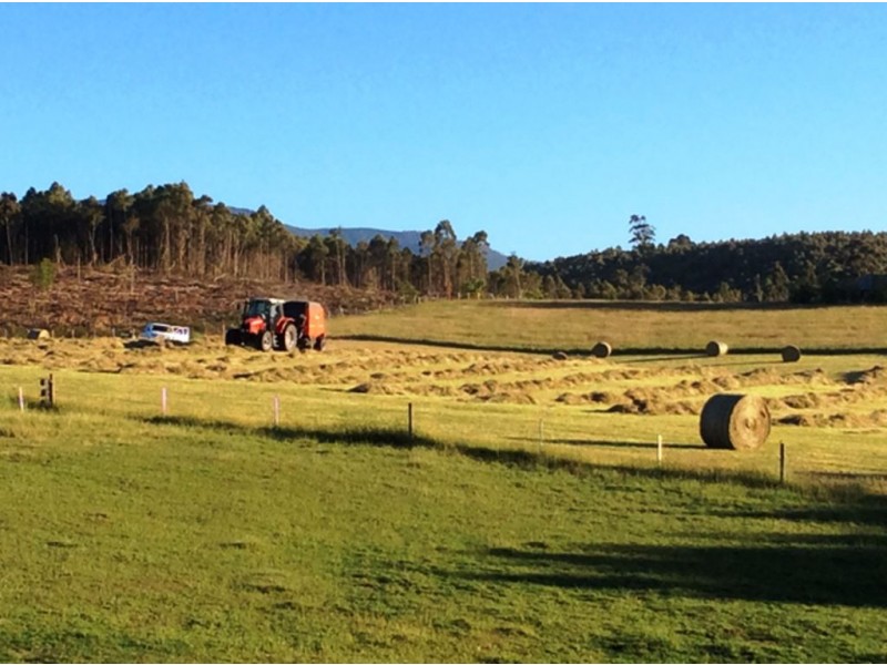 126 Denison Gorge Road, Lebrina TAS 7254
