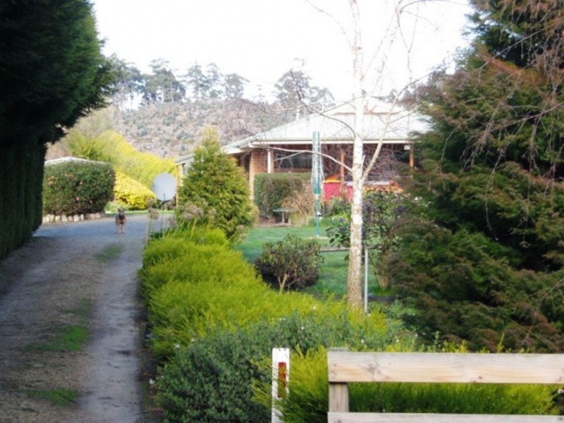 126 Denison Gorge Road, Lebrina TAS 7254