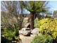 126 Denison Gorge Road, Lebrina TAS 7254