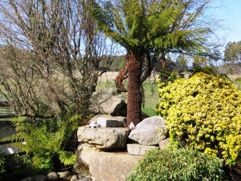126 Denison Gorge Road, Lebrina TAS 7254