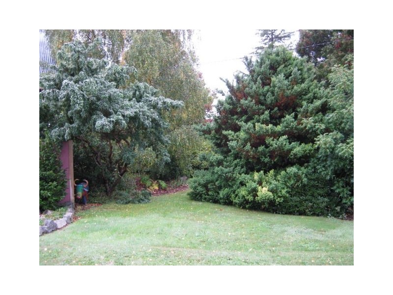 144 Burns Road, Wyena, Lebrina TAS 7254