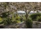 22 Scott Street, Branxholm TAS 7261
