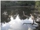 - Lanka Road, Pioneer TAS 7264