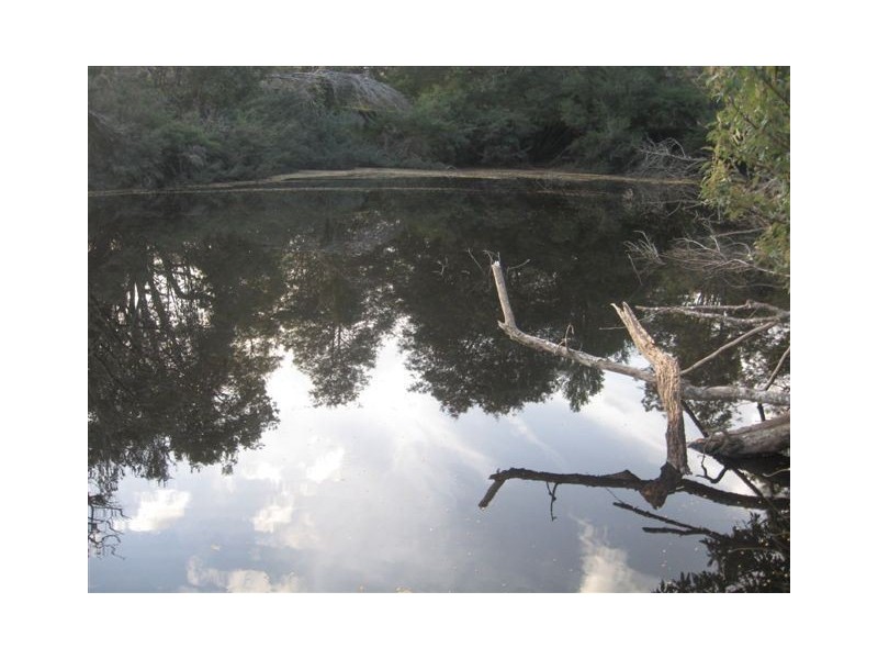 - Lanka Road, Pioneer TAS 7264