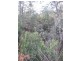 - Lanka Road, Pioneer TAS 7264