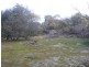 - Lanka Road, Pioneer TAS 7264