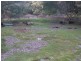 - Lanka Road, Pioneer TAS 7264