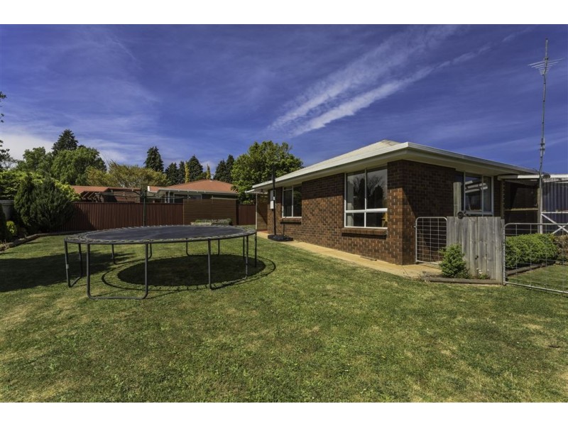 20 Beattie St, Scottsdale TAS 7260