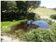 - Tasman Highway, Tulendeena TAS 7260