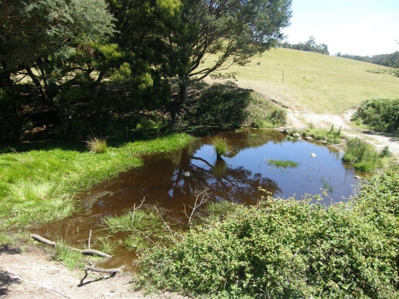 - Tasman Highway, Tulendeena TAS 7260