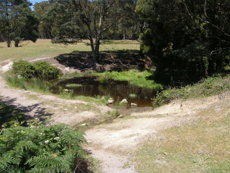 - Tasman Highway, Tulendeena TAS 7260