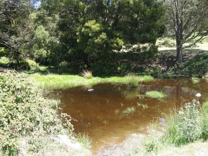- Tasman Highway, Tulendeena TAS 7260