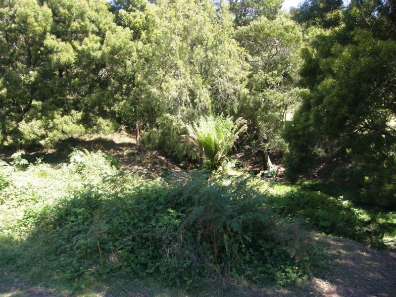 - Tasman Highway, Tulendeena TAS 7260