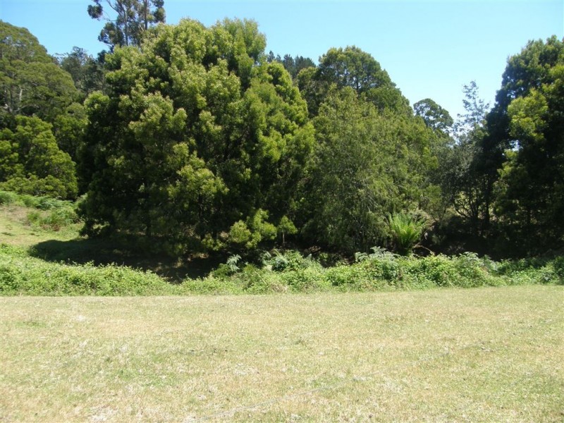 - Tasman Highway, Tulendeena TAS 7260