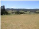 - Tasman Highway, Tulendeena TAS 7260