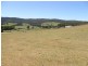 - Tasman Highway, Tulendeena TAS 7260