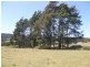 - Tasman Highway, Tulendeena TAS 7260