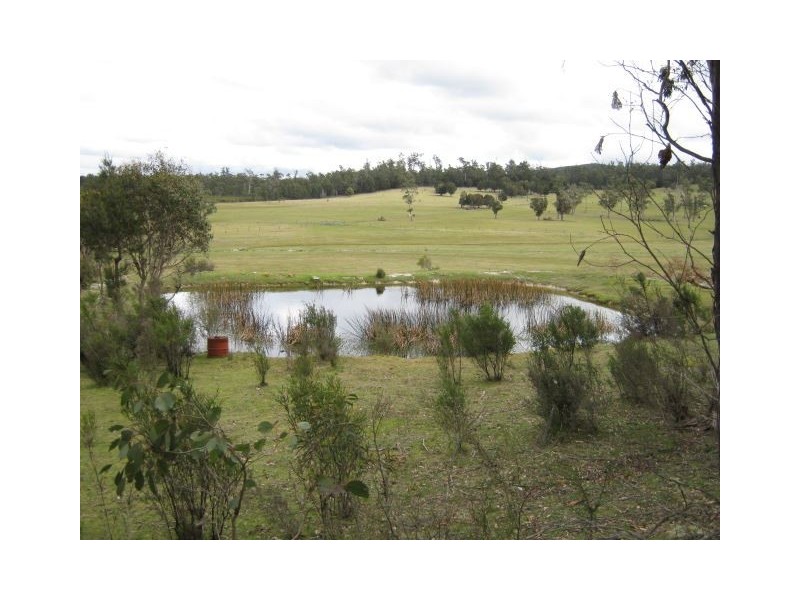 399 Ferny Hill Road, Golconda TAS 7254