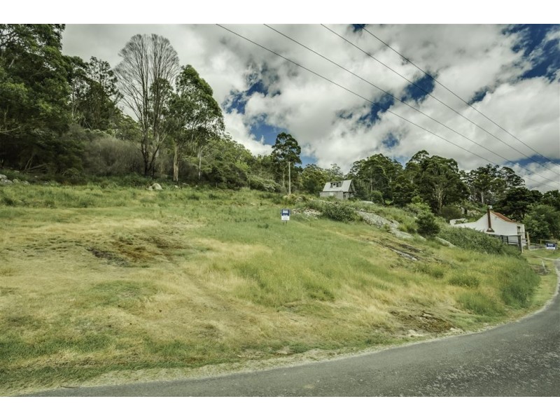 18 Allan Street, Derby TAS 7264