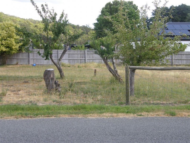 4 Stoke Street, Branxholm TAS 7261