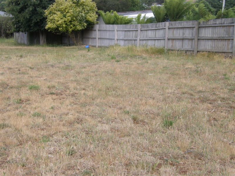 4 Stoke Street, Branxholm TAS 7261