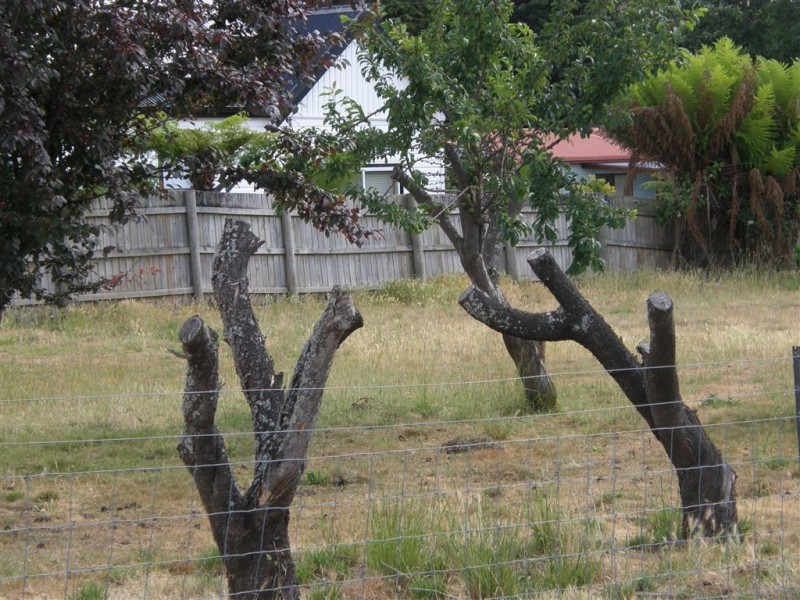 4 Stoke Street, Branxholm TAS 7261