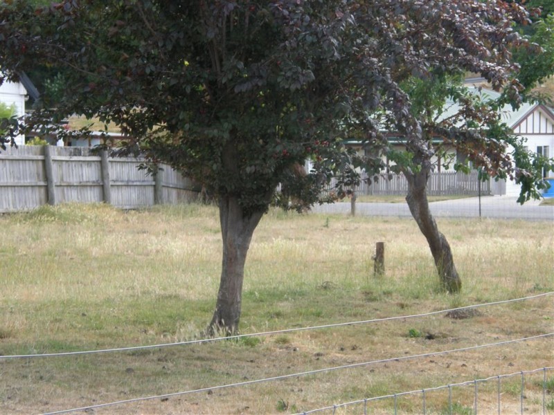 4 Stoke Street, Branxholm TAS 7261