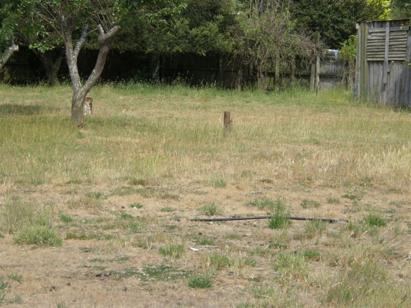 4 Stoke Street, Branxholm TAS 7261