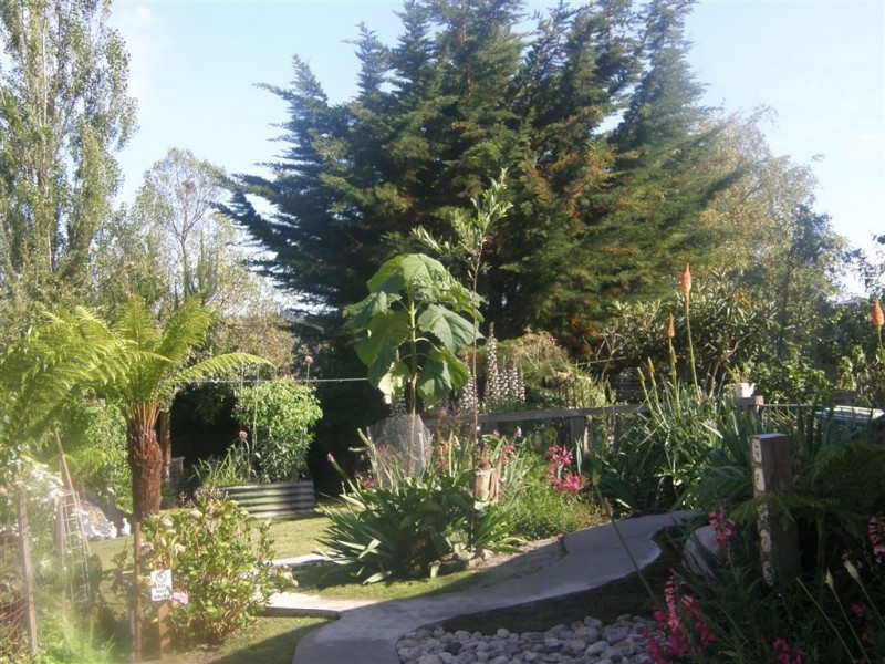 7 Main Street, Pioneer TAS 7264