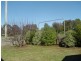99 George Street, Scottsdale TAS 7260