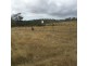 13 Groves Road, Gladstone TAS 7264