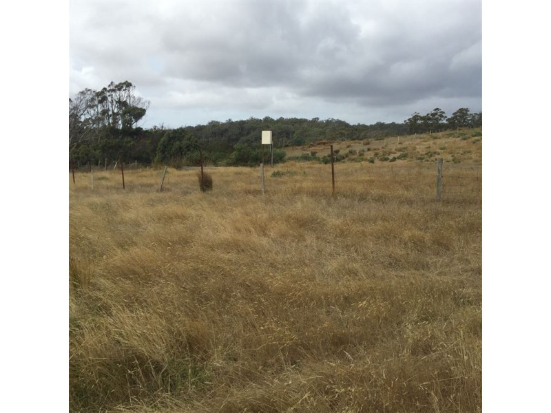13 Groves Road, Gladstone TAS 7264