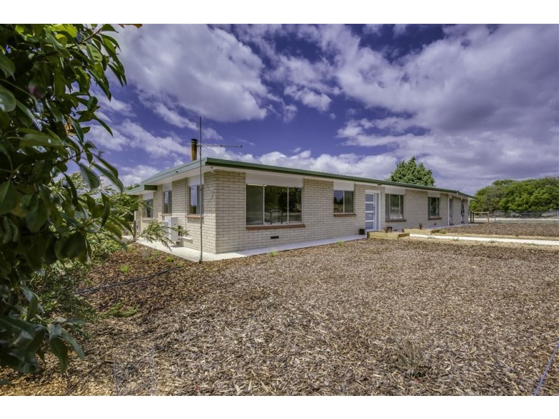 1262 Bridport Road, Bridport TAS 7262