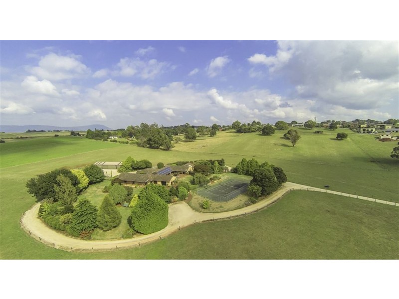 36 Ringarooma Road, Scottsdale TAS 7260