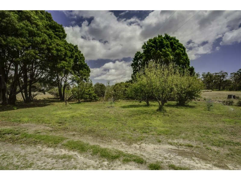 1262 Bridport Rd, Bridport TAS 7262