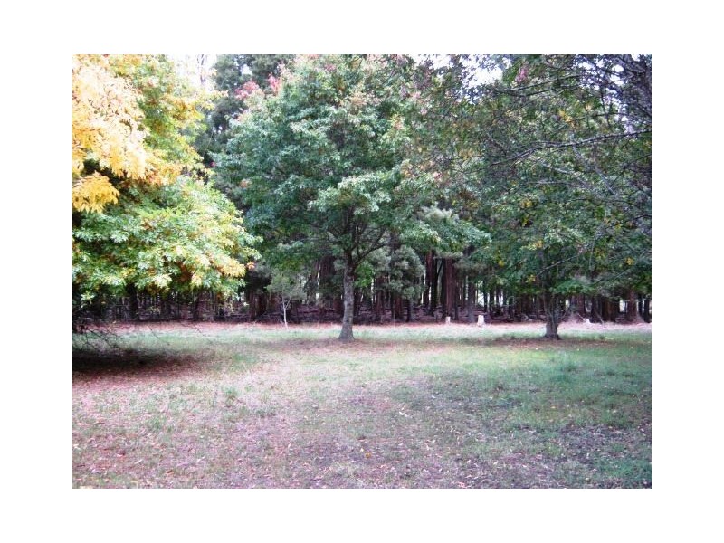 65 Station Road, Lilydale TAS 7268