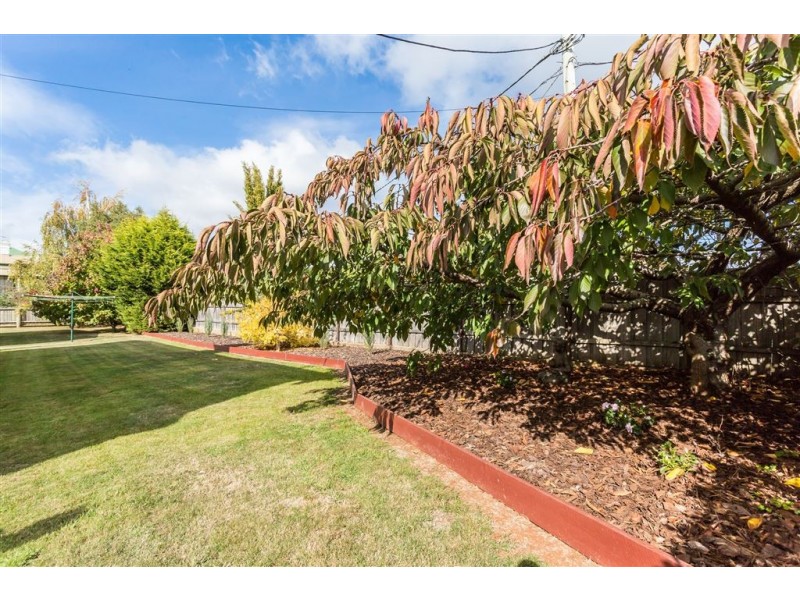 11 Ellenor Street, Scottsdale TAS 7260